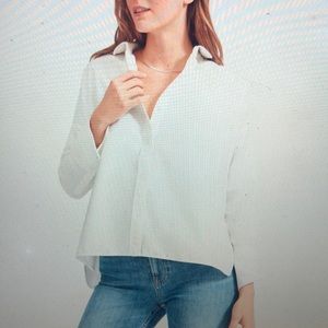 Everlane The Japanese Oxford Square Shirt